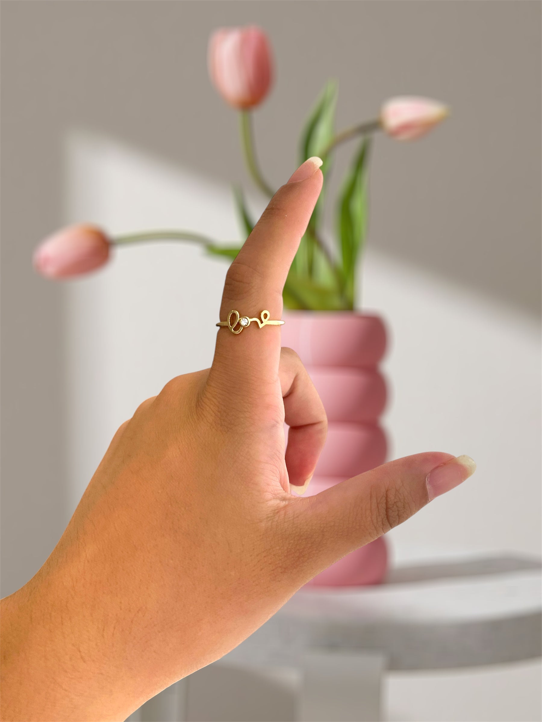Anillo acero inoxidable