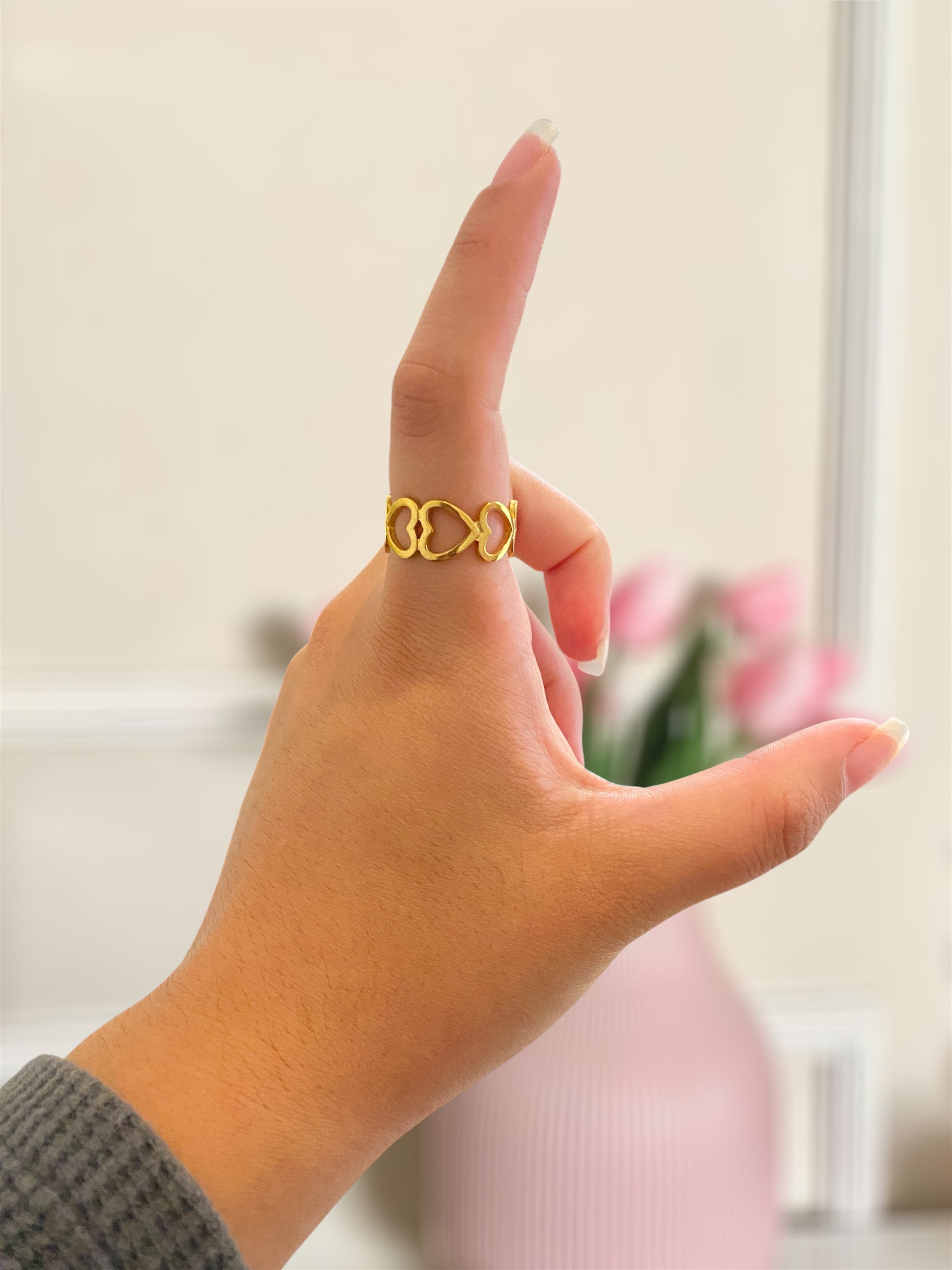 Anillo acero inoxidable